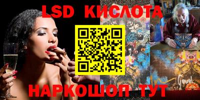 стафф Заводоуковск