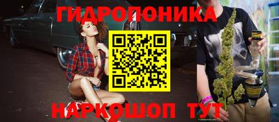 стафф Заводоуковск