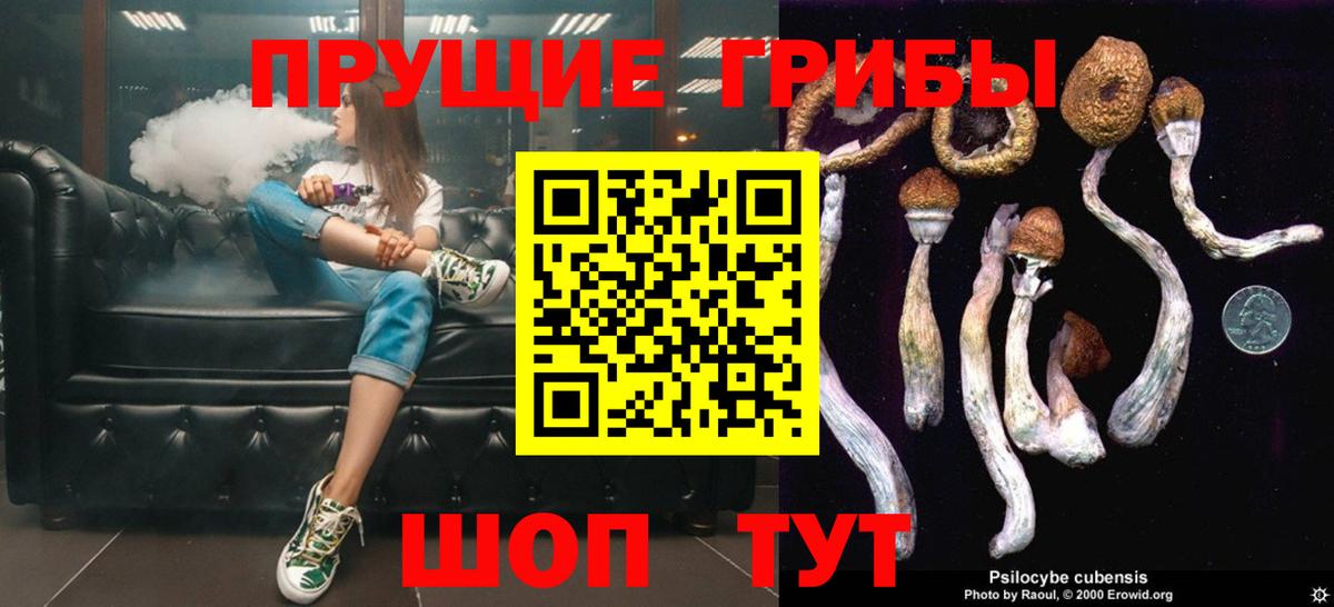 Псилоцибиновые грибы Psilocybe  Вход с VPN  Луга 